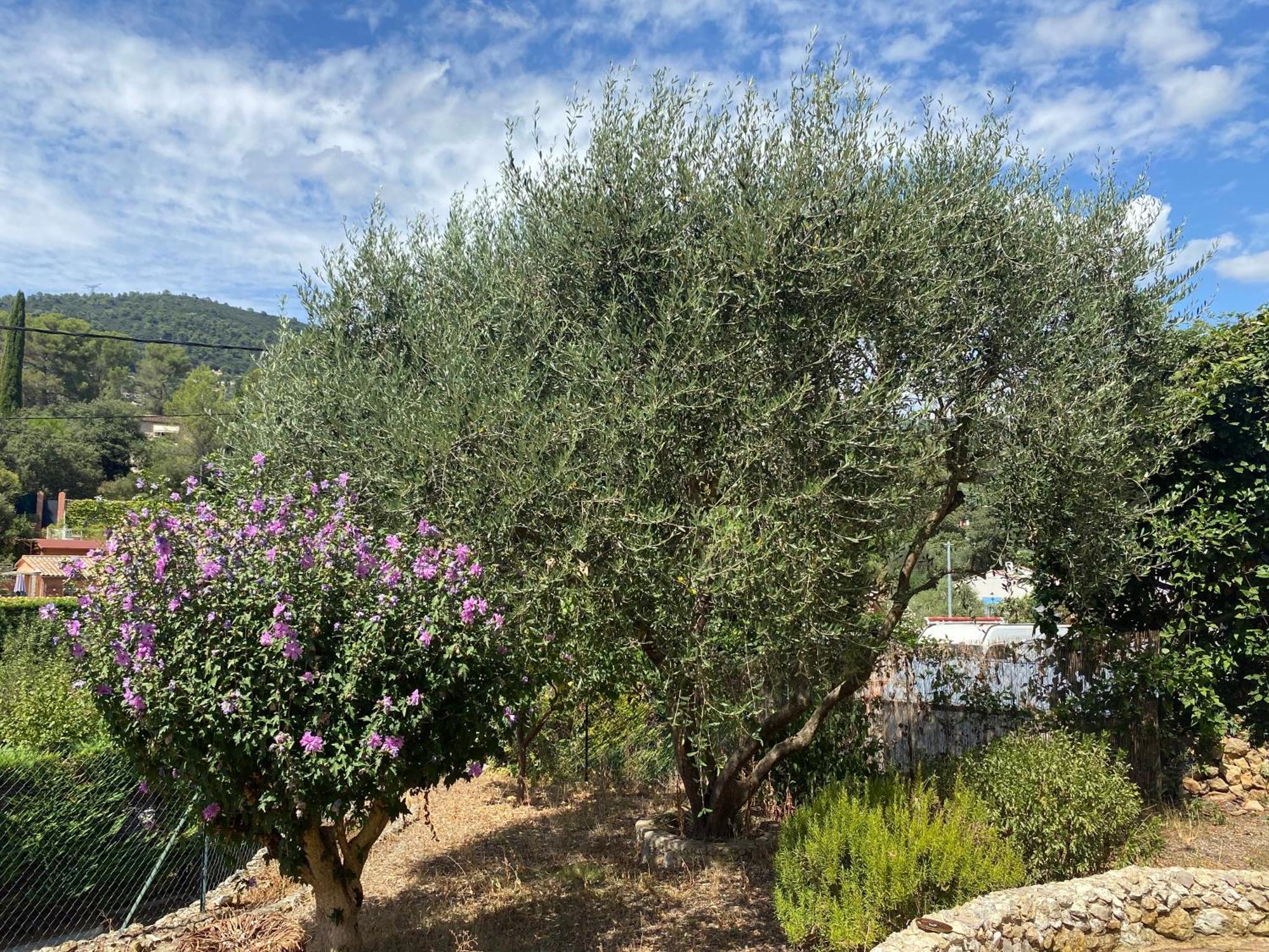 Spacieux 2 Pieces, Au Calme Le Tignet المظهر الخارجي الصورة
